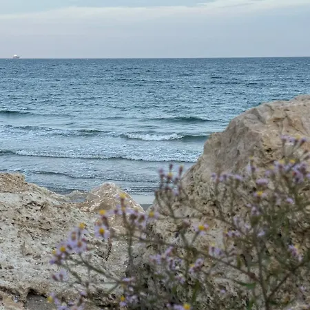 Black Sea Dreams